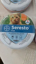 Seresto-Collar de prevención para perros y gatos, elimina las pulgas y garrapatas, mosquitos, mascotas, accesorios pequeños y medianos