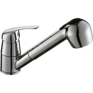 

Kitchen mixer is nice cottage with retractable excess (SL od B23)
