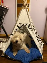 Tipi de Gato con cojín y pizarra para perros, carpa portátil para perros y casas de mascotas, tienda plegable de lona de madera para mascotas, cama para animales pequeños