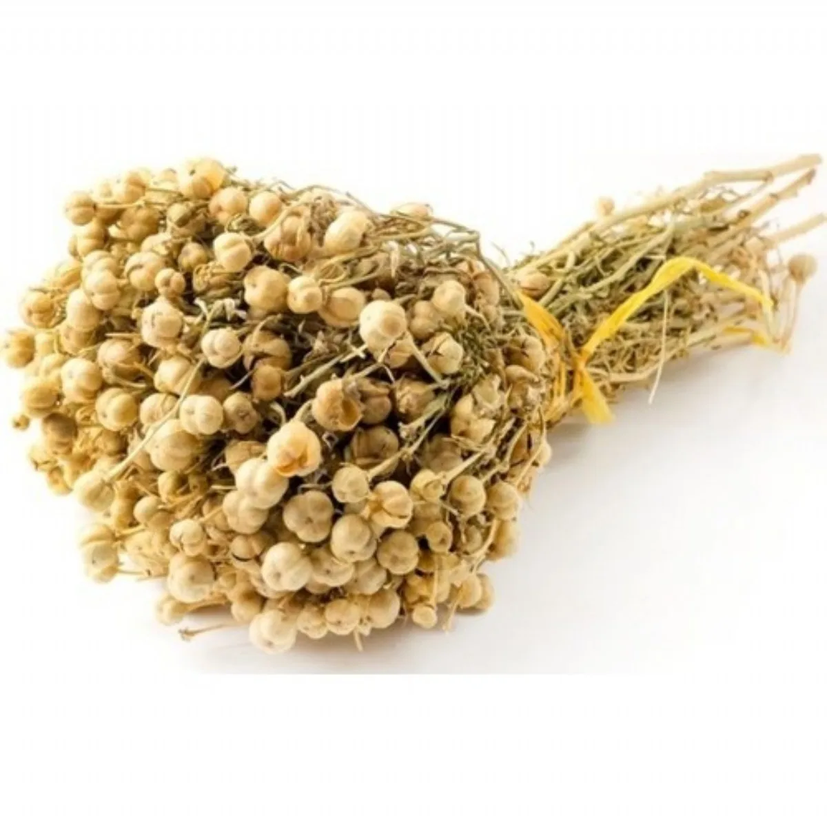 трава испан. трава испан. трава испан. гармала обыкновенная высушенные. трава испан.