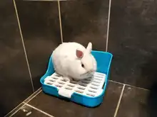 Hámster para mascotas gato conejo esquina baño basura bandejas limpio interior entrenamiento para caja de arena para mascotas bandeja para Animal PEQUEÑO mascotas