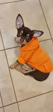 Warm Pet Clothes For Cats Clothing Autumn Winter Clothing for Cats Coat Puppy Outfit