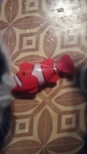 [MPK Store] , Battery-Powered Fish, Cat Toy Cat Fish