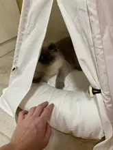 Cat Bed House Teepee Cushion Pet-Tent Puppy Available Outdoor Portable For Dog with Thick