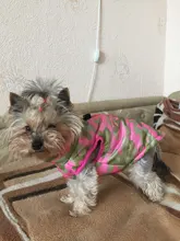 Puppy Outfit Vest Coat Dog-Jacket Pets Padded-Chihuahua Apparel-20 Small-Dogs Warm Winter