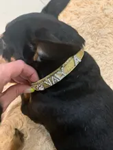 Personalized Dog Collar Leather Rhinestone Bling Charms Custom Pet Dogs Cat Name