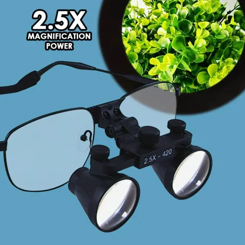 DL-025-magnification