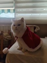 Pet Dog Cat Costume Christmas Antlers Hat Cloak Halloween Disguise Clothes For Cats Small