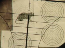 Bestsight-Mira de rifle óptica, 3-9x40, 4 -16x40, 6-24x50, mira telescópica táctica, pistolas de aire, rifle de francotirador