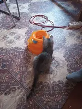 3 Levels Pet Cat Toy Funny Tower Tracks Disc Cat Tracks Toys Training Intelligence Amusement