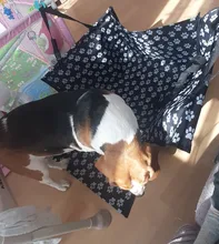 Caseta de CAWAYI impermeable para mascotas, protector para asiento de coche para perros, esterillas, hamaca, cojín de transporte para perros