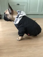 Jacket French Bulldog Dog Winter SUPREPET Coat Pet-Dog Dogs Large Cotton for Warm Perro