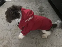 Jacket Clothing Puppy-Coat Dog-Face Dogs Reflective Waterproof Winter Apparel Small Medium