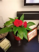 Changing-Bulb Led-Lamp Light Dimmable Smart-Control-Lamp E27 Colorful Home 10W 5W RGBW