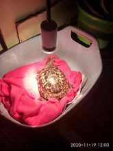 Conjunto de lámpara para reptiles UVA + UVB 3,0, con soporte de bombilla con Clip y termómetro, higrómetro, Tortuga, Kit de lámpara de calentamiento de base