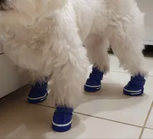 4 unids/set zapatos para perros de invierno de perro caliente botas de nieve zapatos de cuero de la PU para perros pequeños perros Chihuahua impermeable antideslizante cachorro para mascotas zapatos