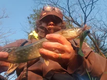 Soft Lures Wobblers Bream-Bait Vibro Fat Tackle 65mm ESFISHING 100mm 125mm Iscas