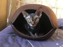 Cat-Bed Cushion Cats-Basket-Bags Nest Pet-Supplies Cave-Sleeping-Bag Zipper for Felt-Cloth