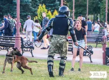 Grow-Lamp Lights-Plants E27-Hydroponic-System Indoor-Lighting 80leds Full-Spectrum 220V