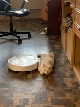 Dreame F9 Robot Vacuum Cleaner 2500Pa strong suction Planned Cleaning Automatically Charge