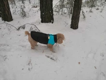 Coat Jacket Puppy-Vest Dogs Waterproof Winter Medium Pet-Dog Zipper Small Large Warm