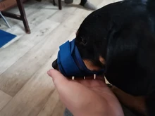 De policarbonato para perros ajustable máscara ladrar morder de la boca de malla boca aseo Anti deja de masticar