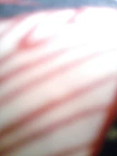 Nail-Clippers Pet Beauty-Cleaning-Supplies Dog Cat Stainless-Steel Professional Labor-Saving