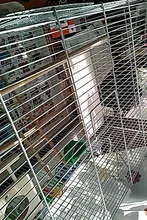 Misterolina loro cacatúa percha para pájaros soporte plataforma suministros aves jaula pequeña diaria de la casa mascotas colgante accesorios para mascotas T S8Q2