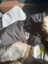 Jacket Clothing Puppy-Coat Dog-Face Dogs Reflective Waterproof Winter Apparel Small Medium