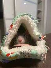 Small Animal Hammock Hamster-House Warm-Cage Rat/hedgehog Mini New Cat Winter Bed-Mat