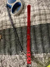 Collar Pet-Products Puppy Engraved French Bulldog Small Dogs Custom Personalized Pug