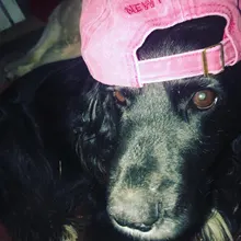 Baseball-Cap Embroidery Sports-Caps Vintage Outdoor New York Women Letter Sand-Washed