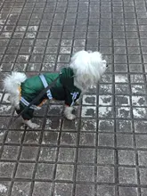 Ropas impermeables para perro para perros pequeños para abrigos lluvia chaqueta chubasquero de cachorro ropa para Chihuahua y Yorkshire productos para mascotas 30S2