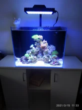 PopBloom-controlador de iluminación para acuario, lámpara de luz Led para acuario, Arrecife de Coral marino, lámpara de cultivo, Turing30