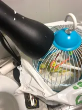 Lámpara de calefacción por infrarrojos lejanos, lámpara de calefacción para mascotas de cerámica, 25W/ 50W/75W/100W, lámpara de calefacción para mascotas, Bombilla E27, emisor de cerámica, lámparas de calor