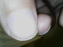 Mini cámara de inspección endoscópica, cámara de endoscopio tipo c usb para android 7,0mm, con cable duro para PC, teléfono Android, tipo de tubería C