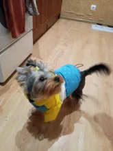 Outfit Jacket Hoodie Dog Warm Waterproof Winter Coat Splice Pet-Puppy 6-Colours 8-Sizes