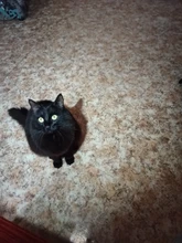 Portable Lantern Working-Torch Aa-Battery 3-Modes flashlight Camping-Lamp Flashlamp 3800-Lumen