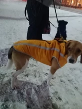 MySudui Medium Big Dog Winter Clothes For Dogs Pets Clothing Reflective Dog Jackets Outdoor