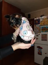 Cute Print Small Dog Hoodie Coat Winter Warm Pet Clothes for Chihuahua Shih Tzu Sweatshirt