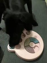 Feeder Toys Dispensing Puppy Pet-Puzzle Pet-Dog Training-Games Slow Interactive Small