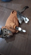 Warm Pet Clothes For Cats Clothing Autumn Winter Clothing for Cats Coat Puppy Outfit