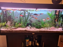 Rings Media Bio-Balls FISH-TANK-FILTER Aquarium Ceramic Activated-Carbon Clear-Water