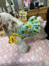 Vestido bonito de fruta para perros, Ropa de verano para pareja de mascotas, chaleco para perros pequeños, Chihuahua
