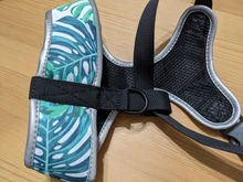 Arnés de Bulldog Francés transpirable para perros pequeños y medianos, chaleco para gatos, entrenamiento para caminar