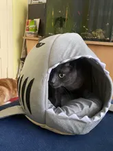 Puppy-House Dogs-Tent Shark Small Dog Large Pet-Product Cat Bed for High-Quality Cotton