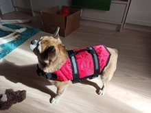 Chaleco Salvavidas para perro, chaqueta Salvavidas para mascota, ropa de seguridad, traje de baño para mascotas, Chaleco de seguridad para verano