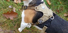 Harness Light-Weight Military-Service Truelove Dog Small Outdoor Tactical Medium Adjustable