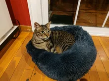 Lecho de mascota caseta para perro, cama redonda para gato, saco de dormir cálido para casa de perro, de felpa larga, cojín para cachorro, esterilla, suministros para gato