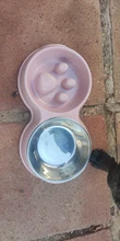 Pet-Bowls Feeding-Supplies Pet-Drinking-Dish-Feeder Puppy Stainless-Steel Dog-Food Double